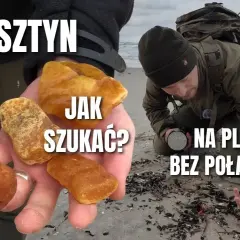 Odkryj sekrety Bałtyku: Gdzie i kiedy zbierać muszle i bursztyn