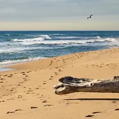 Gdzie leży Morze Czarne? Poznaj jego sekrety i bezpieczne plaże