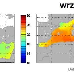 Jaka temperatura wody w Bałtyku? Od 18 do 22°C. Gdzie najcieplej?