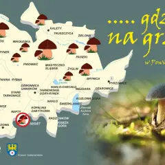 Mapa z zaznaczonymi miejscami na grzyby w Powiecie Tarnogórskim i zdjęciem borowików.