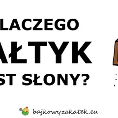 Tajemnica zasolenia Bałtyku: Skąd sól i dlaczego tak mało?
