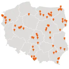 Grzybobranie z noclegiem: Odkryj najlepsze miejsca w Polsce!
