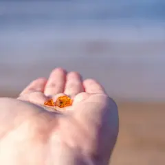Bursztyn na plaży: Gdzie szukać i jak rozpoznać prawdziwy skarb?