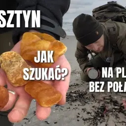 Odkryj sekrety Bałtyku: Gdzie i kiedy zbierać muszle i bursztyn