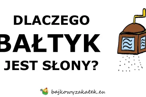 Tajemnica zasolenia Bałtyku: Skąd sól i dlaczego tak mało?
