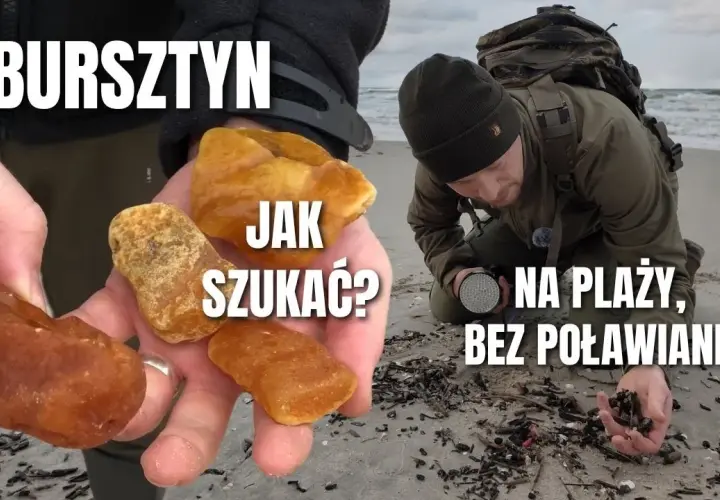 Odkryj sekrety Bałtyku: Gdzie i kiedy zbierać muszle i bursztyn