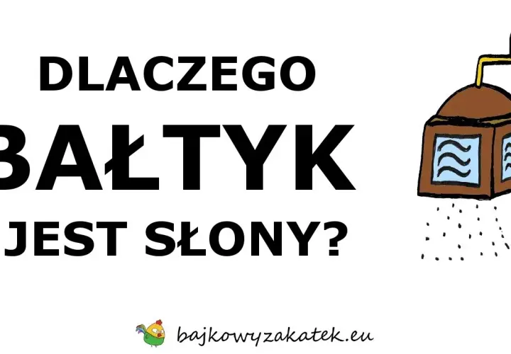 Tajemnica zasolenia Bałtyku: Skąd sól i dlaczego tak mało?