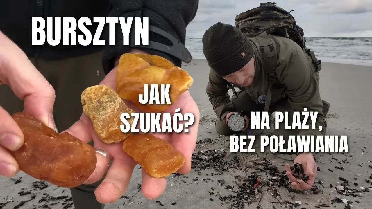 Odkryj sekrety Bałtyku: Gdzie i kiedy zbierać muszle i bursztyn
