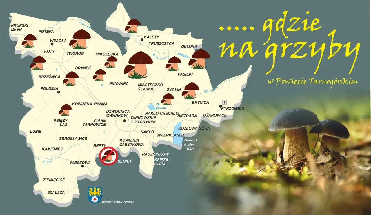 Mapa z zaznaczonymi miejscami na grzyby w Powiecie Tarnogórskim i zdjęciem borowików.