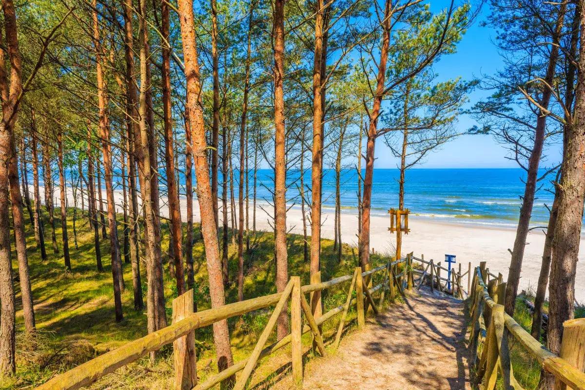 Spokojna plaża Bałtyk, dzika plaża Polska
