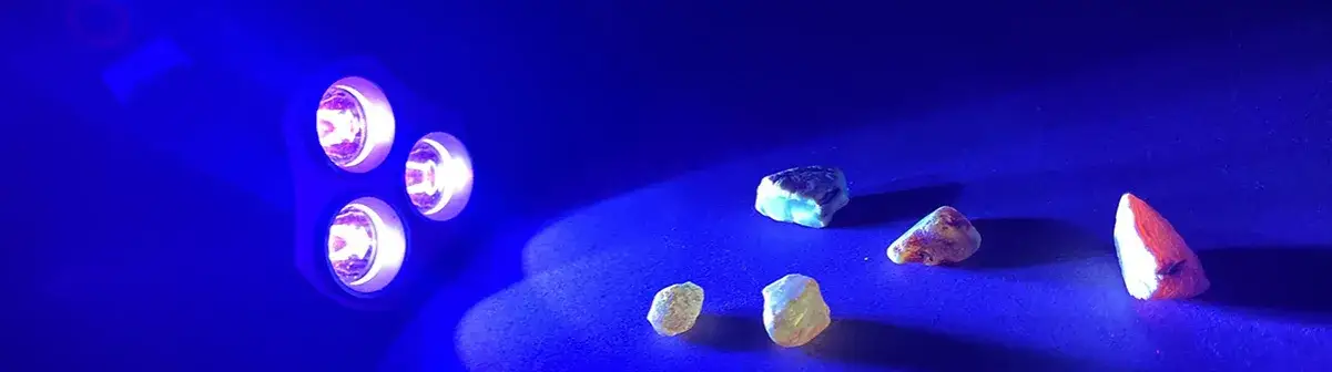 latarka uv bursztyn fluorescencja
